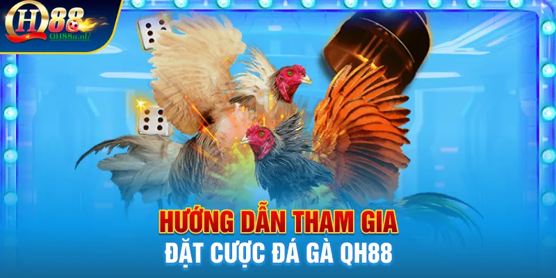 Hướng dẫn tham gia đặt cược đá gà QH88