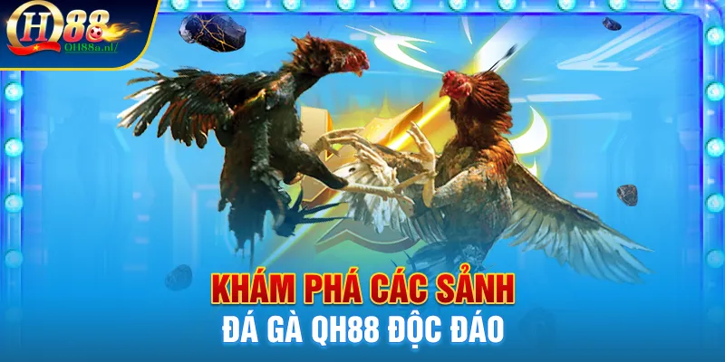 Khám phá các sảnh đá gà QH88 độc đáo