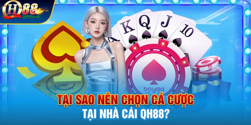 Tại sao nên chọn cá cược tại nhà cái Qh88?